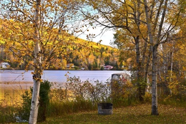 Wall mural of lakeside cottages FP 3991 - Set in a natural environment with visible trees and a lake in the background.