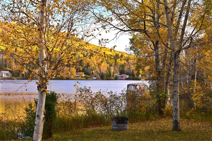 Wall mural of lakeside cottages FP 3991 - Set in a natural environment with visible trees and a lake in the background.
