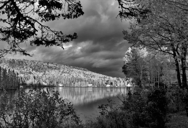 Tree crown wallpaper under a stormy sky FP 3990 - Graphic design. Dark clouds above trees and water.