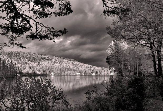 Tree crown wallpaper under a stormy sky FP 3990 - Living room decor. Gray walls, view of a lake and trees.