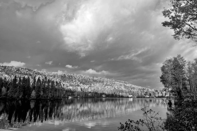 Wall mural Reflection in Lake FP 3992 - Graphic design. Black-and-white scene with a lake and trees in the background.