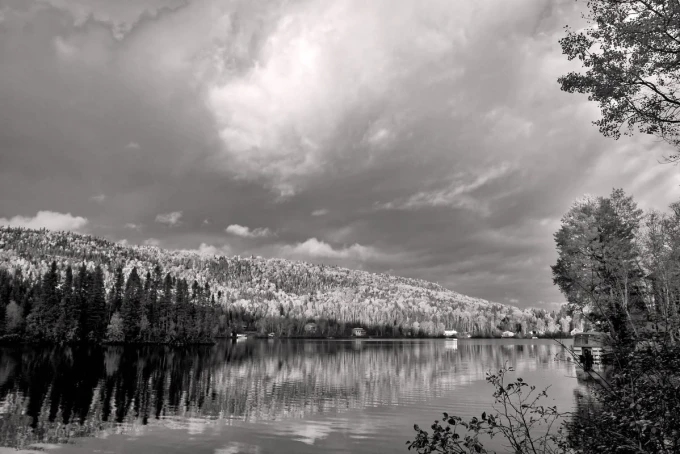Wall mural Reflection in Lake FP 3992 - Graphic design. Black and white scene with trees and clouds reflected.
