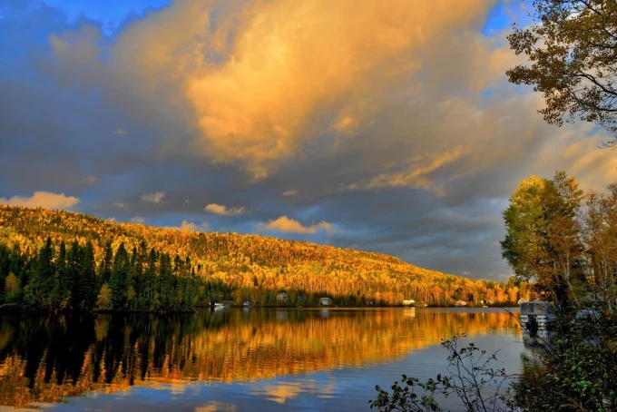 Wall mural Reflection in Lake FP 3992 - Graphic design. Tree and cloud reflections in water, warm shades of yellow.