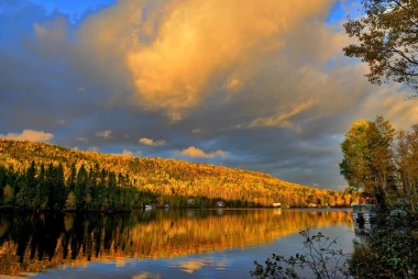Wall mural Reflection in Lake FP 3992 - Graphic design. Tree and cloud reflections in water, warm shades of yellow.