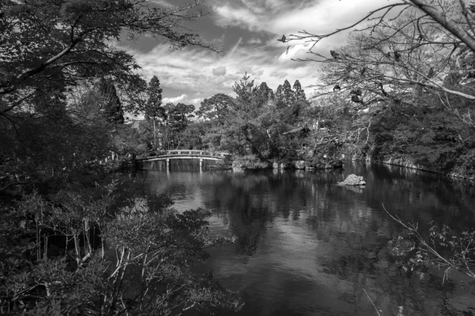 Japanese garden autumn wallpaper FP 4332 - Graphic design featuring a bridge over water, trees, and reflections.