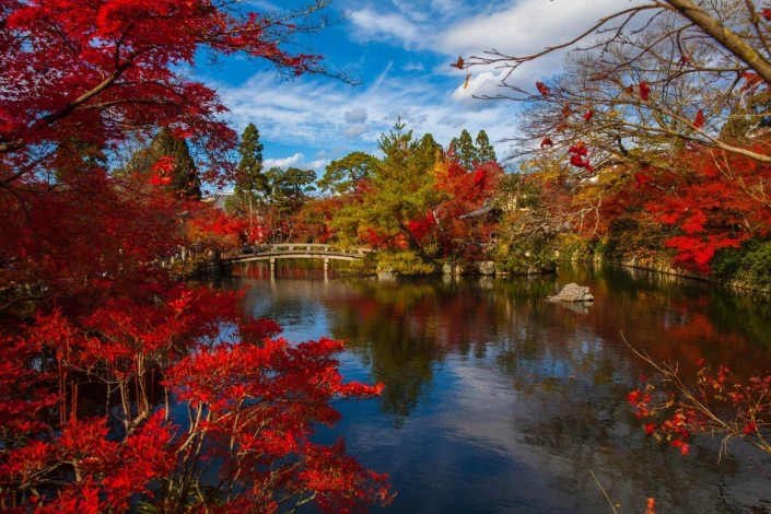 Japanese garden autumn wallpaper FP 4332 - Graphic design with red tree leaves, a bridge over water, and reflections.