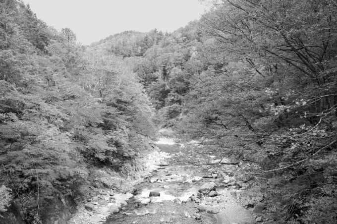 Wall mural of a river in an autumn forest, surrounded by trees and stones in the water, design FP 4328.