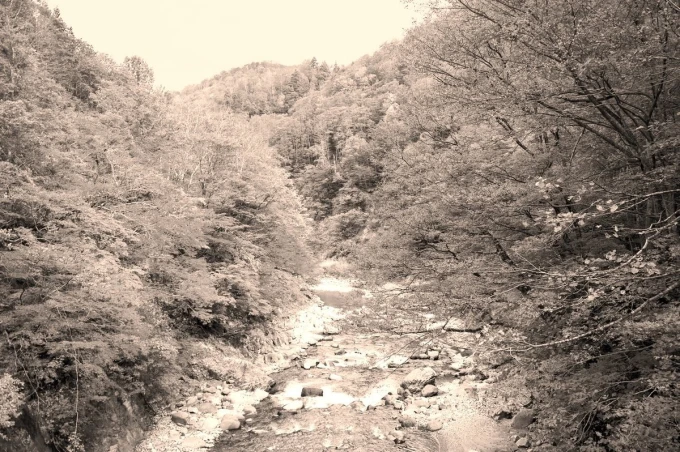 Wall mural tile river in autumn forest FP 4328 - Graphic design. River surrounded by trees in shades of brown.