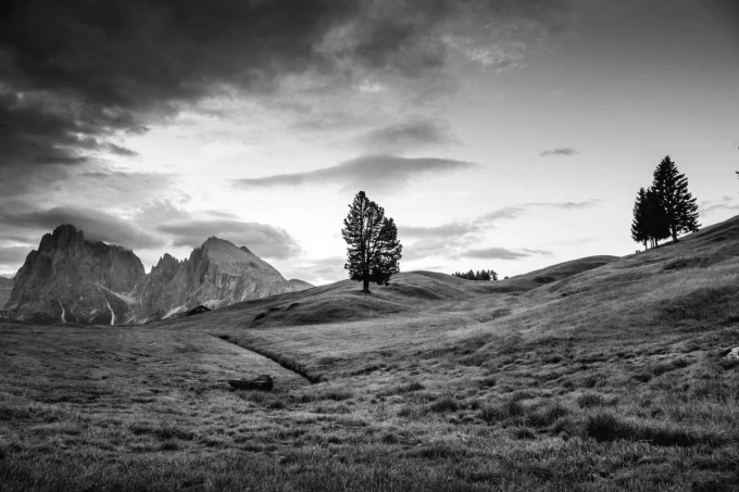 Wall mural of a pink sky over a mountain meadow FP 4448 - Features mountains, trees, and clouds in a graphic design.