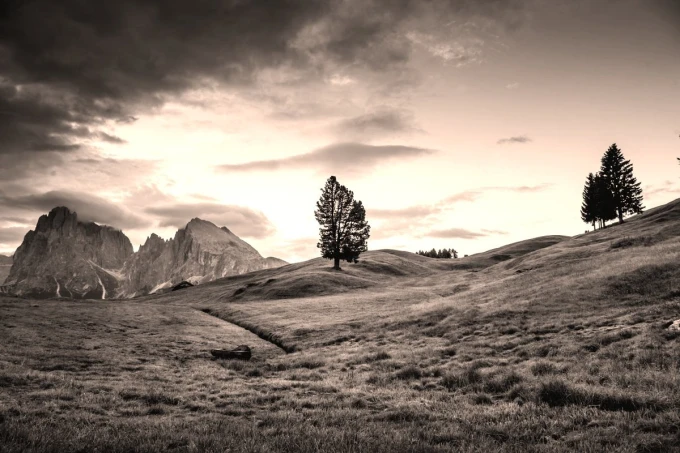Wall mural of a pink sky over a mountain meadow, featuring trees and a grassy field in the background.