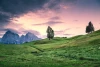 Wall mural of a pink sky over a mountain meadow FP 4448 - Graphic design featuring clouds and trees against the mountains.