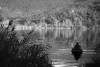 Wall mural of a fisherman at an autumn lake FP 4517 - Living room decor. Scene in shades of gray with a fisherman.