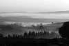 Wall mural of autumn hills at sunset FP 4537 - Graphic pattern. Gray hills in a misty landscape.
