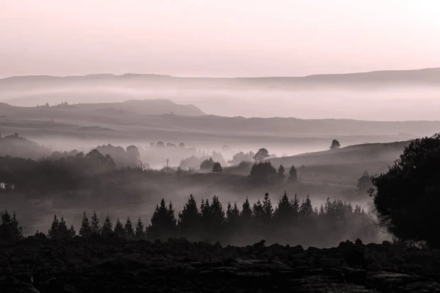 Autumn hills wallpaper after sunset FP 4537 - Graphic pattern with rolling hills in shades.