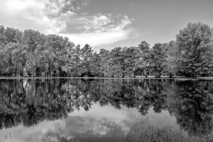 Autumn forest wall mural over a lake FP 4529 - Graphic design. Trees reflect in the water, creating symmetry.