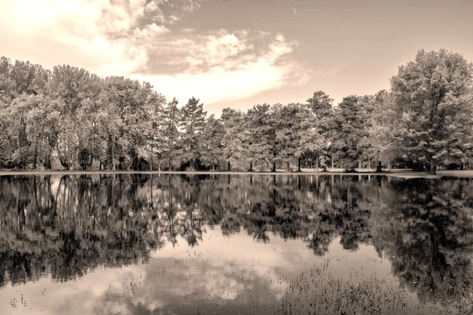 Autumn forest wallpaper by the lake FP 4529 - Graphic design with trees reflecting in the water, creating symmetry.