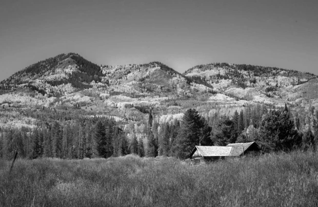 Wooden cabin wallpaper at the foot of the mountains FP 4794 - Graphic design. Cabin among trees and mountains, monochrome background.