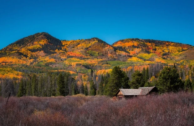 Wooden cabin wall mural at the foot of the mountains FP 4794 - Nature-inspired decor with colorful trees.