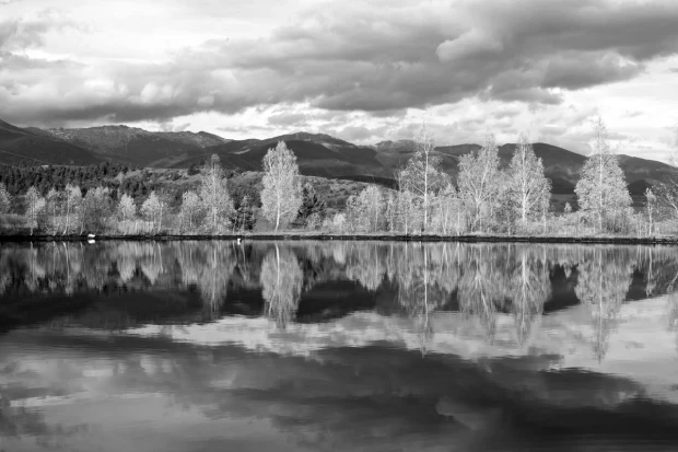 Wall mural of trees by a lake reflected in the water FP 4899 - Graphic design featuring trees.