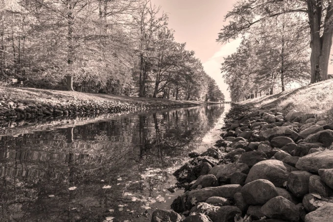 Riverbank wallpaper FP 4886 - Graphic design featuring a river surrounded by trees and stones along the shore.