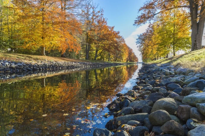 Riverbank wallpaper FP 4886 - Graphic design featuring stones in various shapes and tree reflections in the water.
