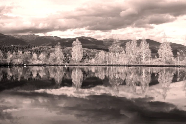 Wall mural of trees by a lake reflecting in the water FP 4899 - Graphic design. Trees and mountains reflected.