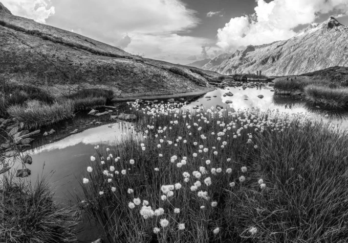 Wall mural cheerful day in the mountains FP 5399 - Graphic design featuring mountains, clouds, water, and flowers.