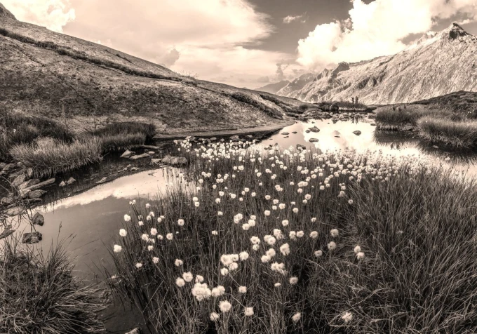 Wall mural cheerful day in the mountains FP 5399 - Graphic design featuring mountains, clouds, and flowers by the water.