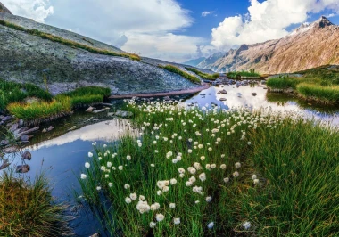 Wall mural of a sunny day in the mountains FP 5399 - Graphic design featuring a mountain landscape with green meadows and reflections.