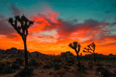 Sunset wall mural over the savanna FP 5418 - Graphic design in orange, red, and blue colors.