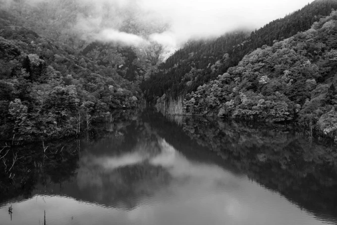 Wall mural of a tranquil river FP 5506 - Graphic design featuring trees, water reflection, and mist in the background.