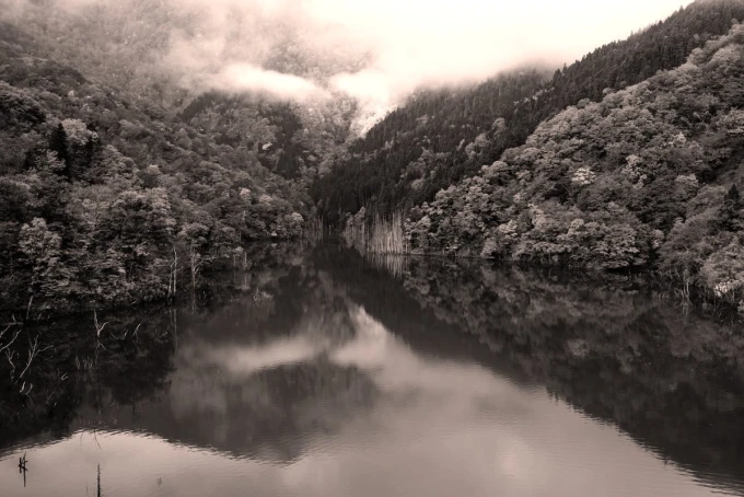Wall mural peaceful river FP 5506 - Graphic design. River surrounded by trees and mountains, reflections in the water.
