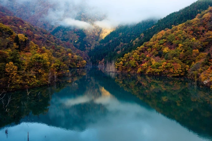 Wall mural of a serene river FP 5506 - Graphic design with a river surrounded by colorful trees and mist.