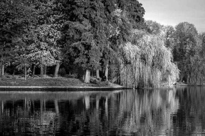 Autumn colors wall mural FP 5739 - Graphic design featuring trees and reflections in water.