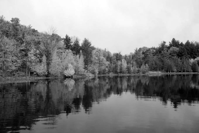Wall mural of a lake on an autumn day FP 5743 - Graphic design featuring a lake with tree reflections.