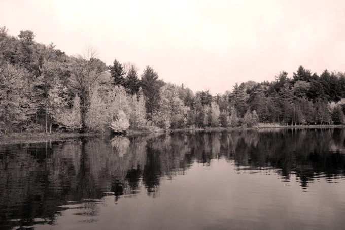 Wall mural of a lake on an autumn day, surrounded by trees. Design FP 5743.