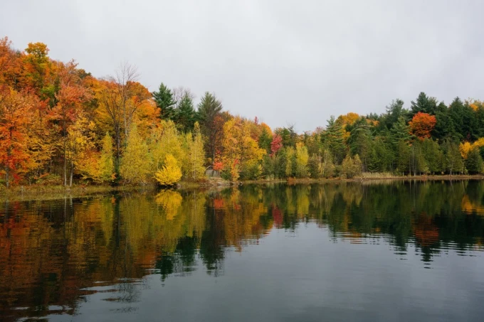 Wall mural of a lake on an autumn day FP 5743 - Graphic design. Lake surrounded by colorful trees.