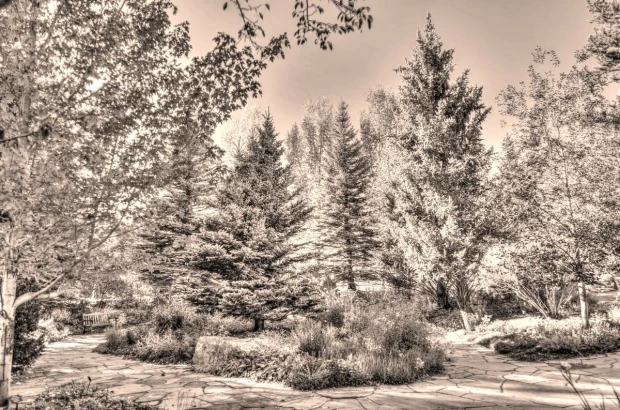 Wall mural of an autumn park landscape FP 5789 - Graphic design featuring trees, paths, and shrubs in shades of gray.