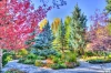 Autumn park wall mural FP 5789 - Graphic design featuring colorful trees, a path, and flowers.