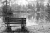 Romantic wall mural of a bench by the lake FP 5975 - Natural decor in gray and white tones with a water view.