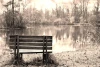 Romantic wall mural of a bench by the lake FP 5975 - Decor in a natural setting. Wooden bench by the water.