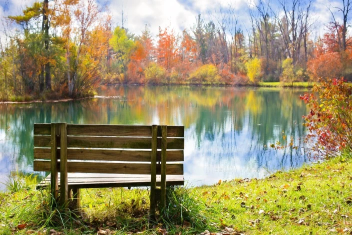 Romantic wall mural of a bench by the lake, featuring water and trees in a natural setting.