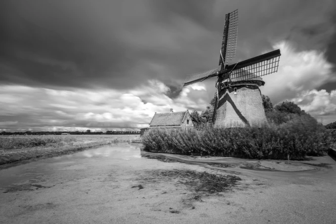 Wall mural of a windmill overgrown by a lake FP 5947 - Graphic design featuring a windmill, clouds, and greenery.