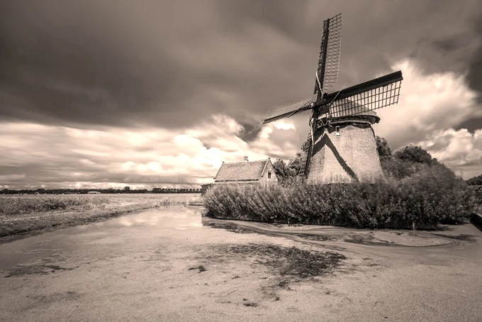 Wall mural of a windmill overgrown by a lake, featuring a graphic design with clouds in the background.