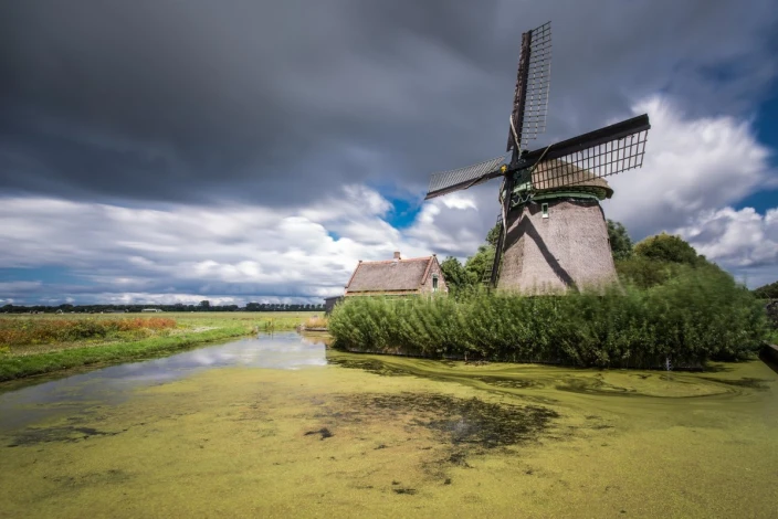 Wall mural of a windmill overgrown by a lake, featuring a graphic design with clouds in the background.