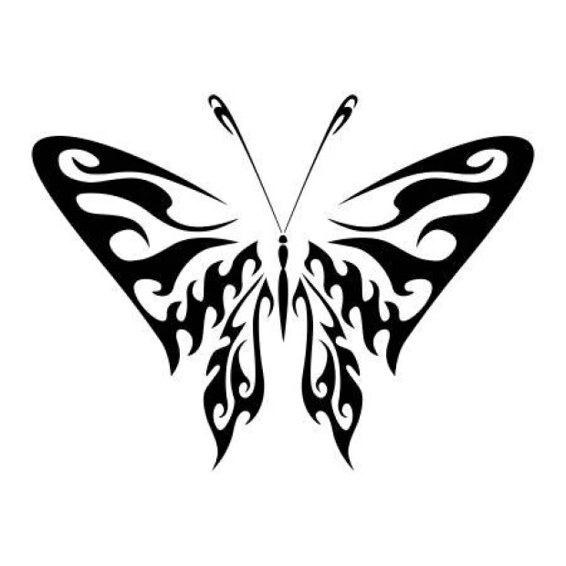 Fire Butterfly Painting Template 2355 - Graphic design with dynamic, wavy lines and symmetrical shapes.