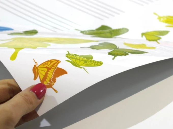 EDU five-line whiteboard 037 - Graphic design with colorful butterflies in various shapes on a white background.