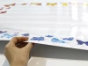 EDU five-line whiteboard 037 - Features colorful butterflies on a white background with a five-line staff design.