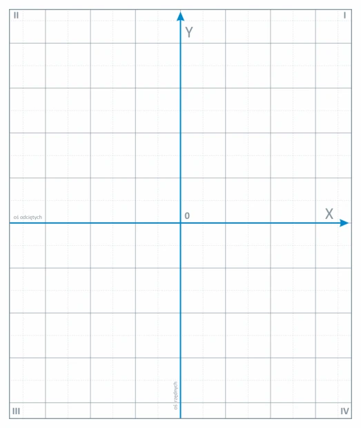 Magnetic dry-erase overlay with coordinate grid 09 - Graphic design. Grid with X and Y axes divided into quadrants.