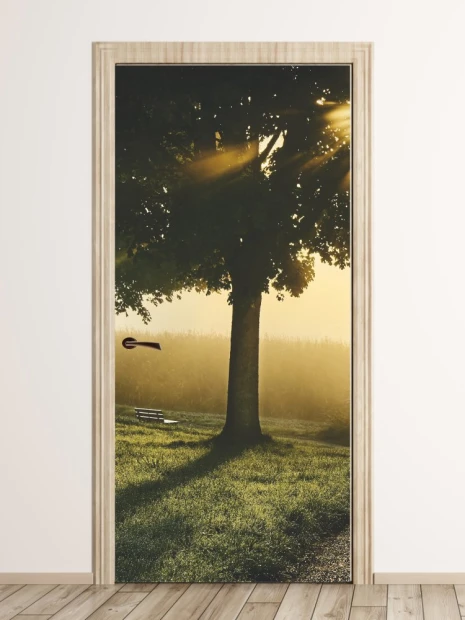 Door wallpaper with a tree in sunlight FP 4021 - Graphic design featuring a tree with sun rays in the background.